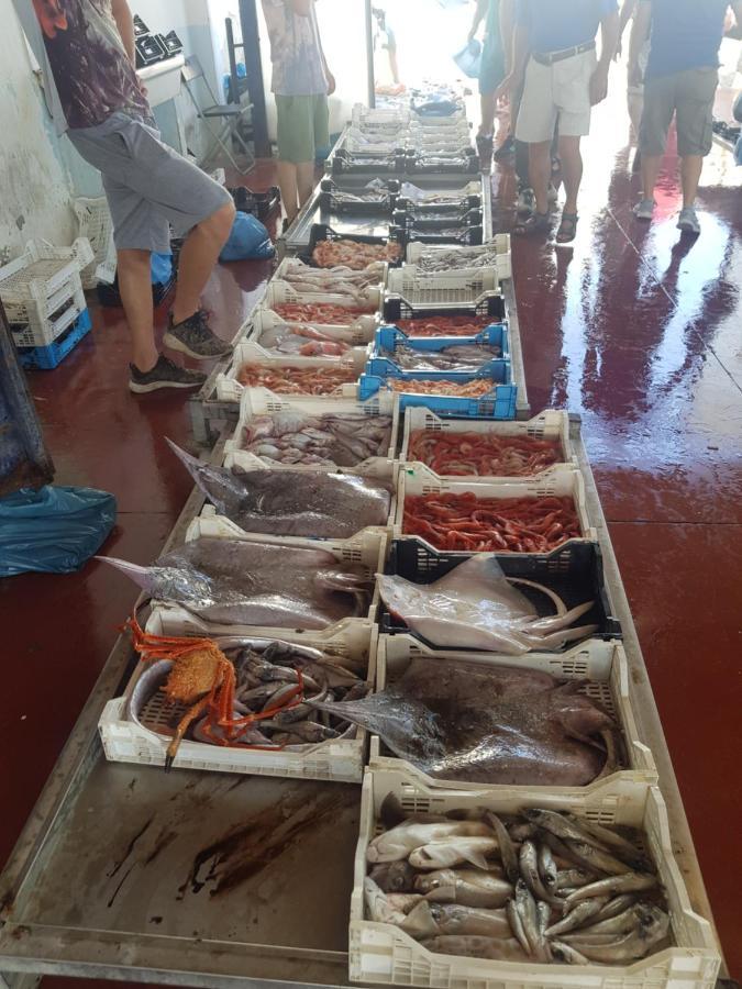 Terrazza Sul Porto Daire Scoglitti Dış mekan fotoğraf